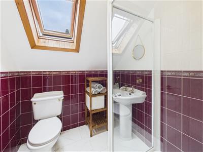 Picture 20